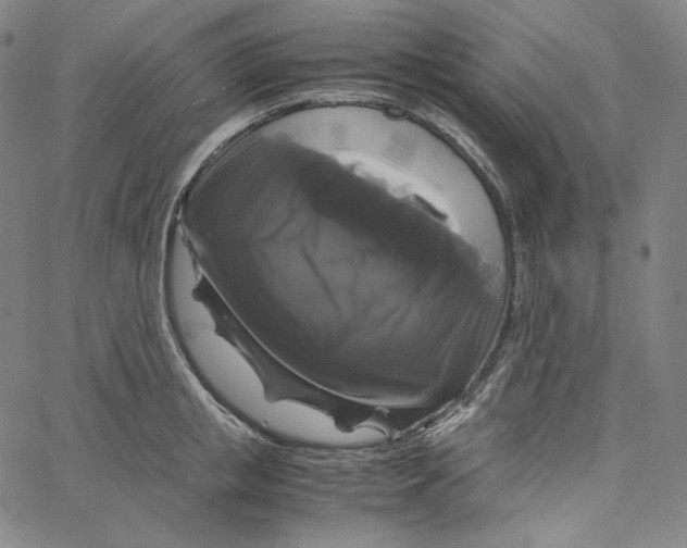 X0000062620853200601181653