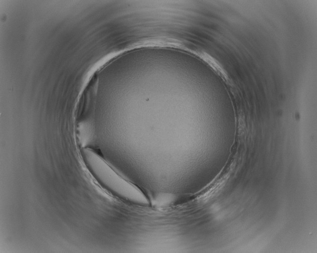 X0000062620854200601181653