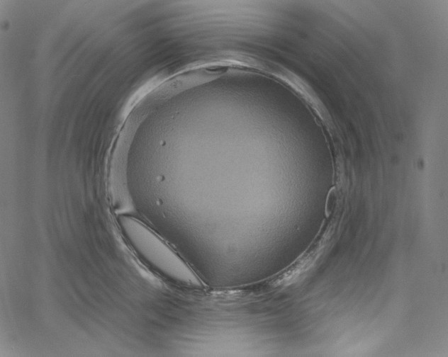 X0000062620858200601181653