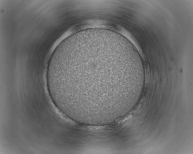 X0000062620861200601181653