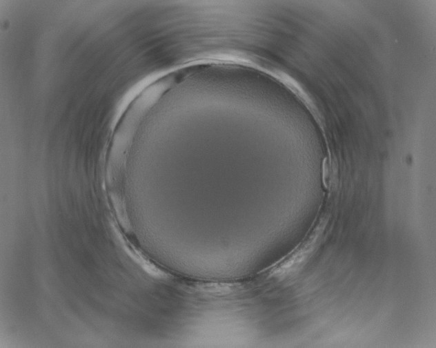 X0000062620862200601181653