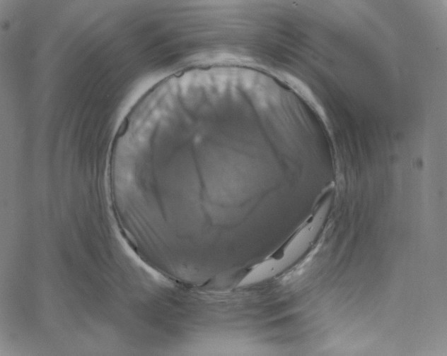 X0000062620863200601181653