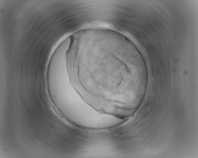 X0000062620864200601181653