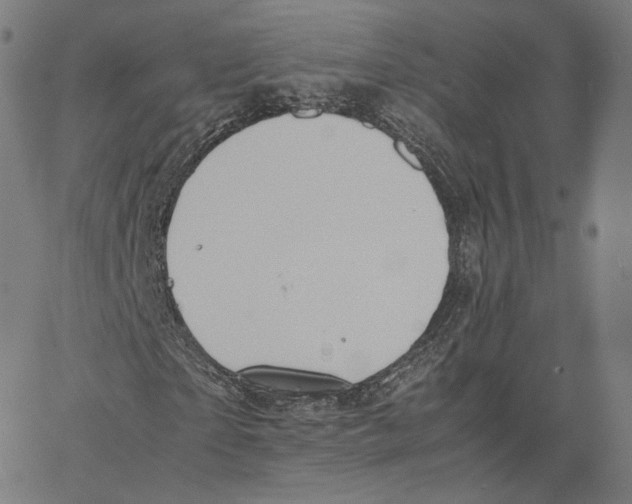 X0000062620865200601181652