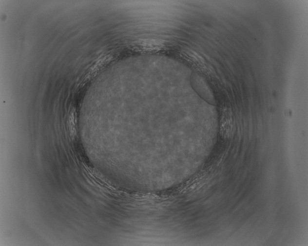 X0000062620866200601181652