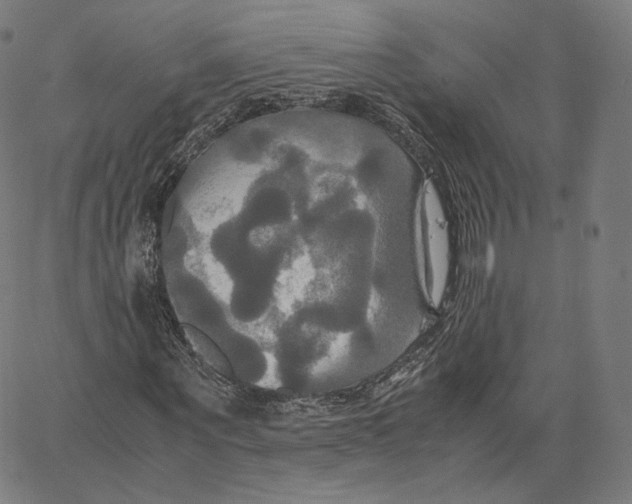 X0000062620867200601181652