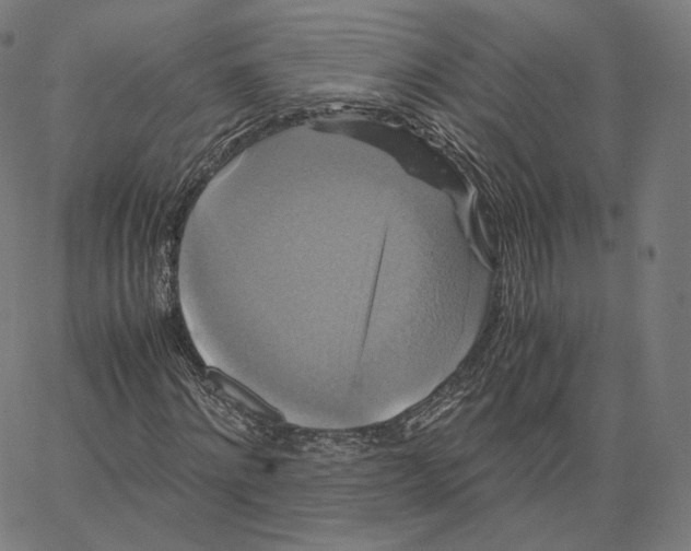 X0000062620868200601181652