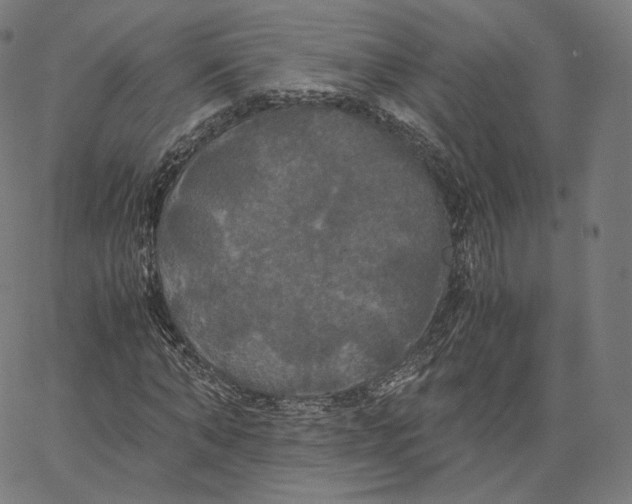 X0000062620870200601181652