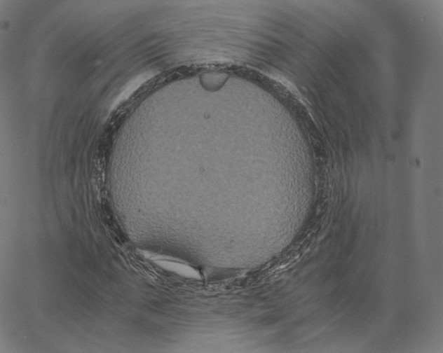 X0000062620871200601181652