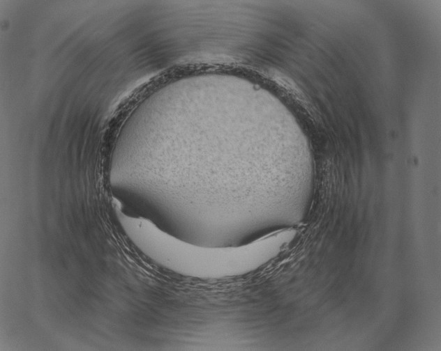 X0000062620872200601181652