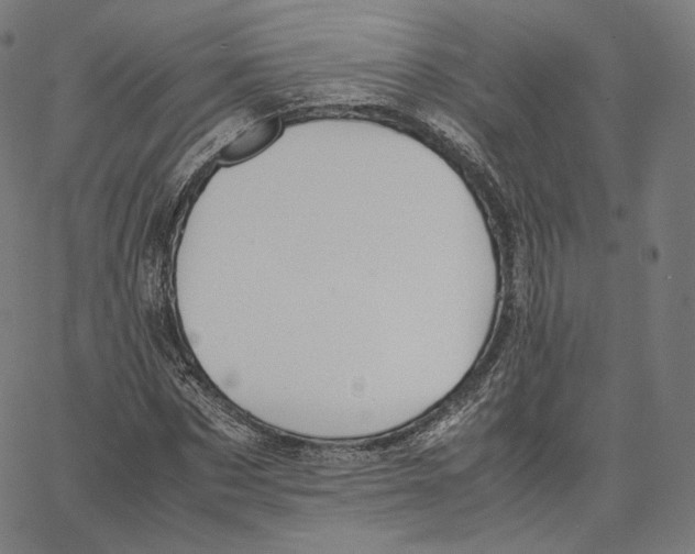 X0000062620873200601181652