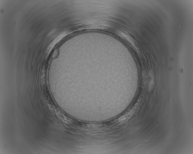 X0000062620875200601181652