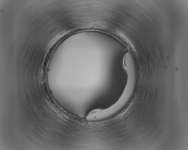 X0000062620876200601181652