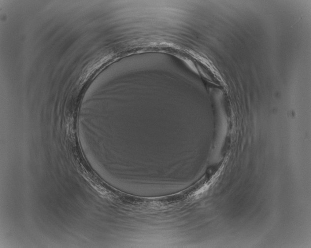 X0000062620881200601181652