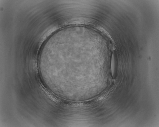 X0000062620882200601181652