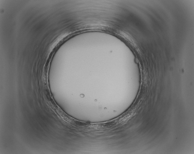 X0000062620883200601181652