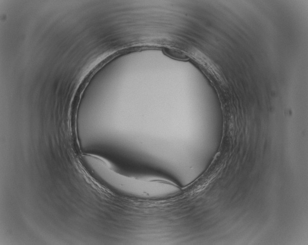 X0000062620884200601181652