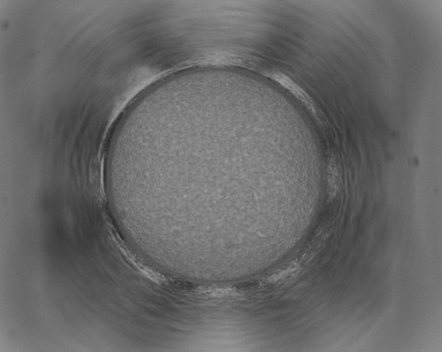 X0000062620886200601181652