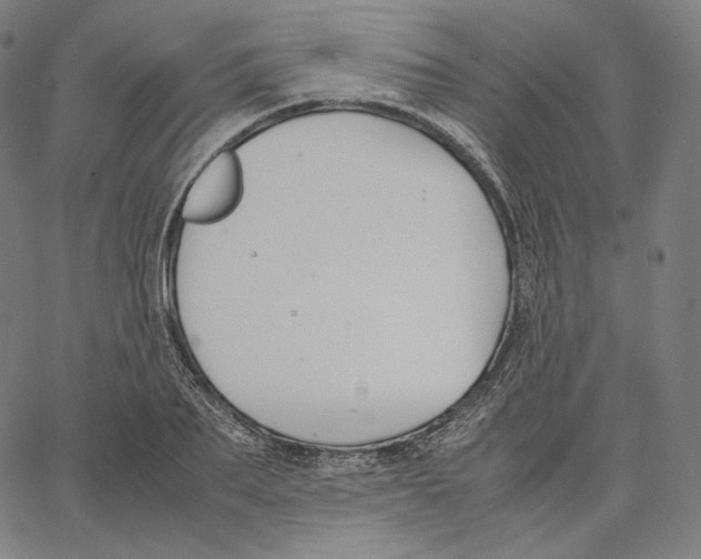 X0000062620887200601181652