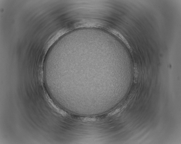 X0000062620890200601181652