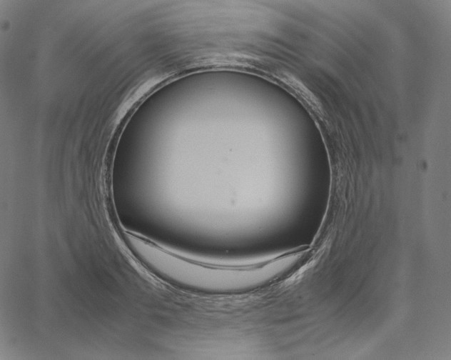 X0000062620893200601181652