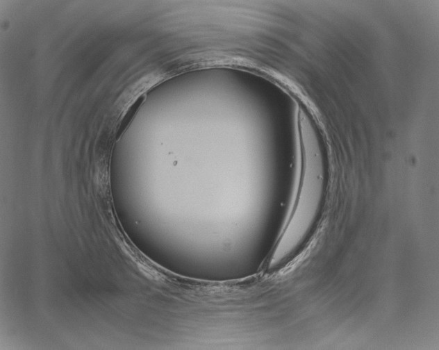 X0000062620897200601181651