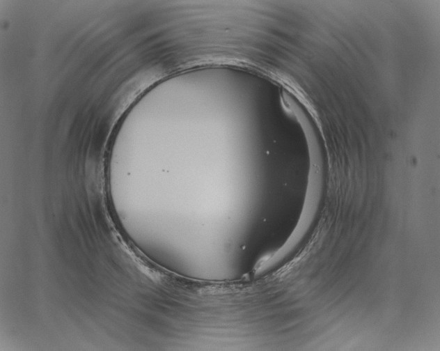 X0000062620898200601181651