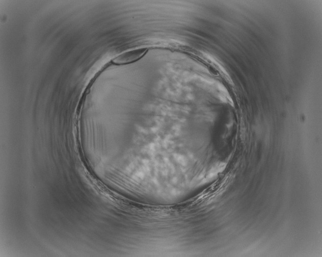 X0000062620899200601181651