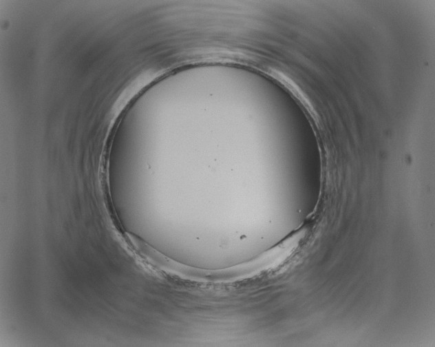 X0000062620901200601181651