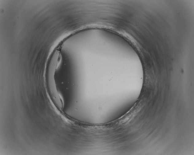 X0000062620902200601181651