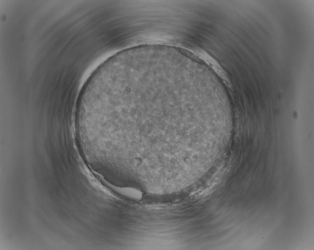 X0000062620904200601181651