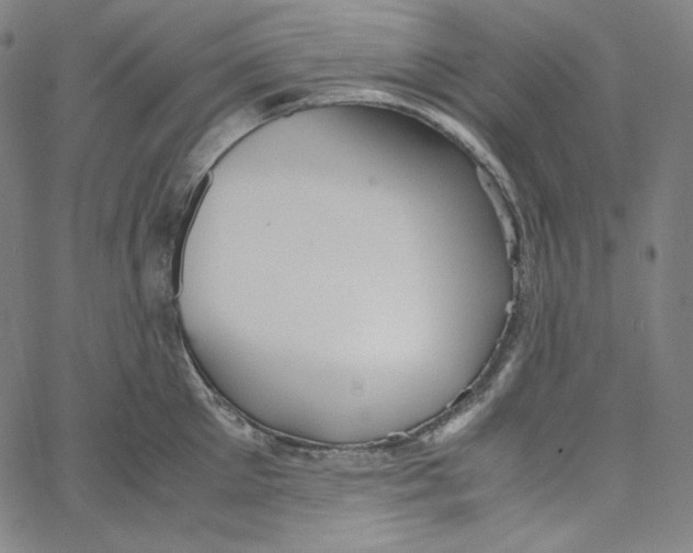 X0000062620905200601181651