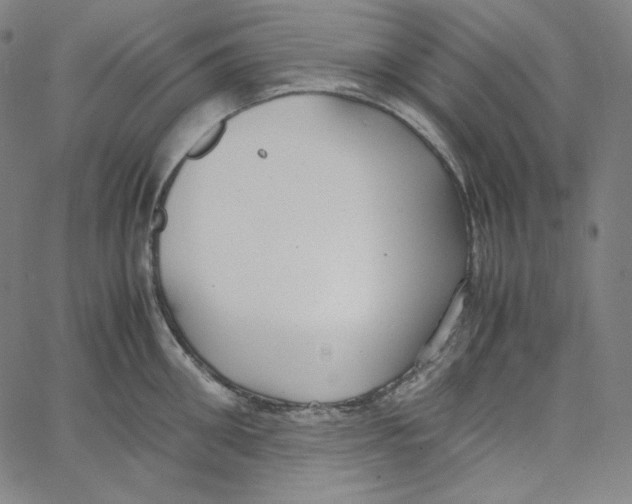 X0000062620906200601181651