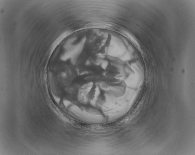 X0000062620907200601181651