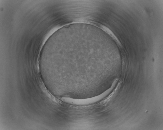 X0000062620908200601181651