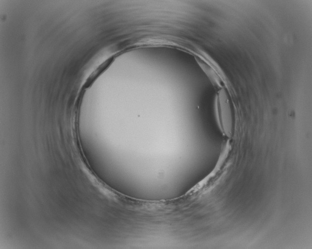 X0000062620909200601181651