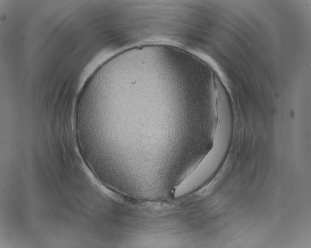 X0000062620910200601181651