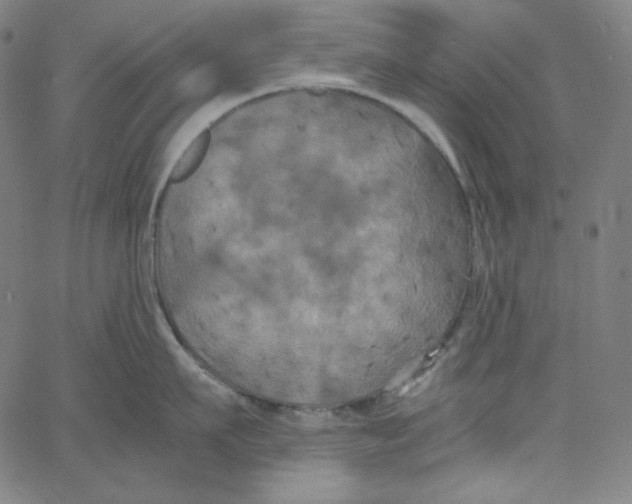 X0000062620911200601181651