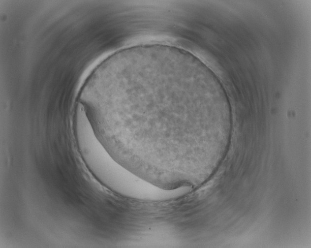 X0000062620912200601181651