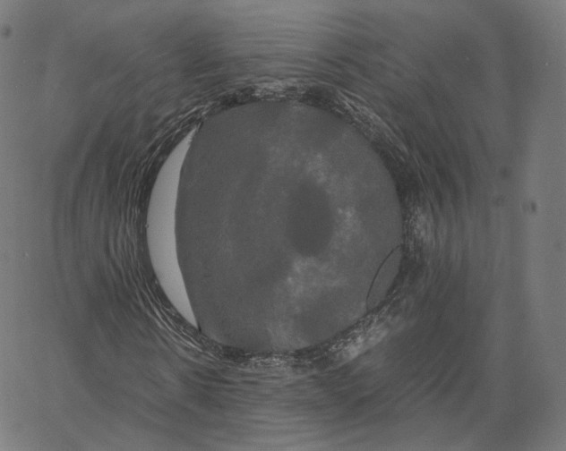 X0000062620914200601181650