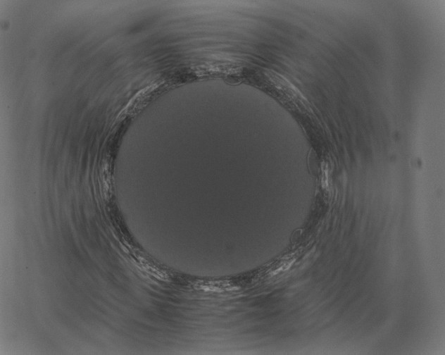 X0000062620915200601181650