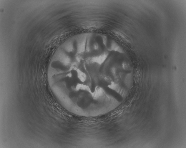 X0000062620917200601181650