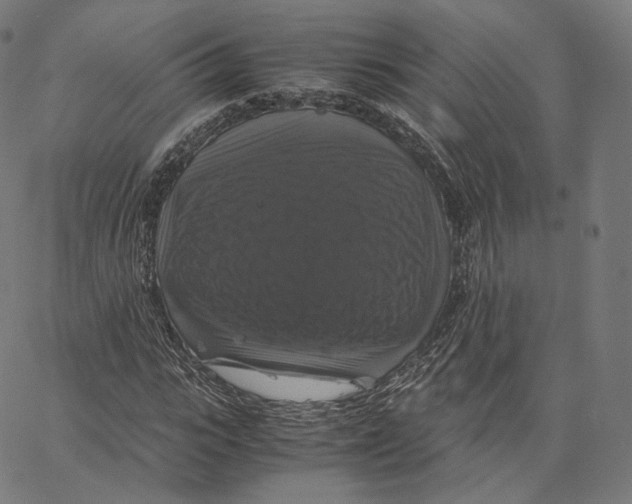 X0000062620919200601181651