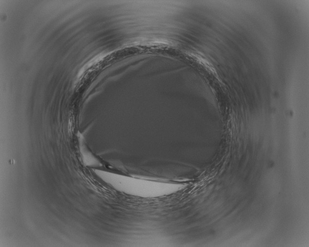 X0000062620920200601181651