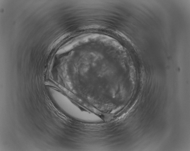 X0000062620921200601181651