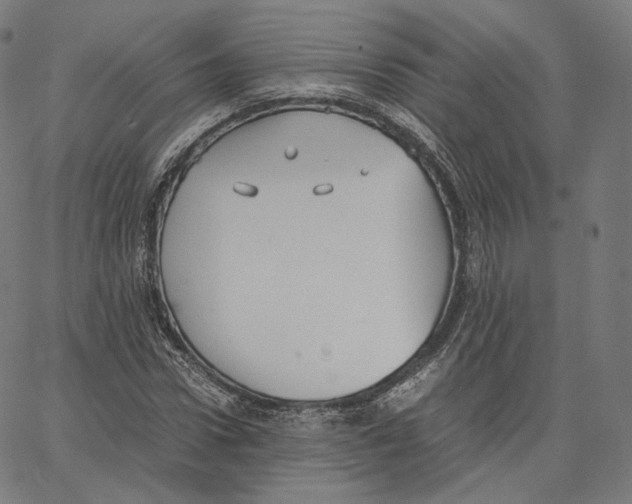 X0000062620922200601181651