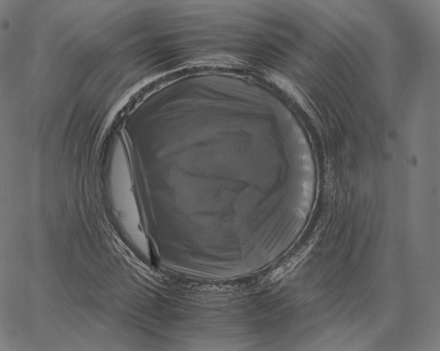 X0000062620923200601181651