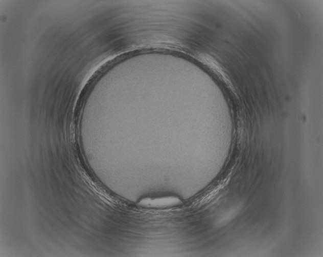 X0000062620924200601181651