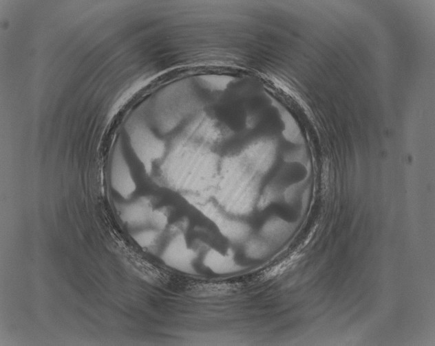 X0000062620925200601181651