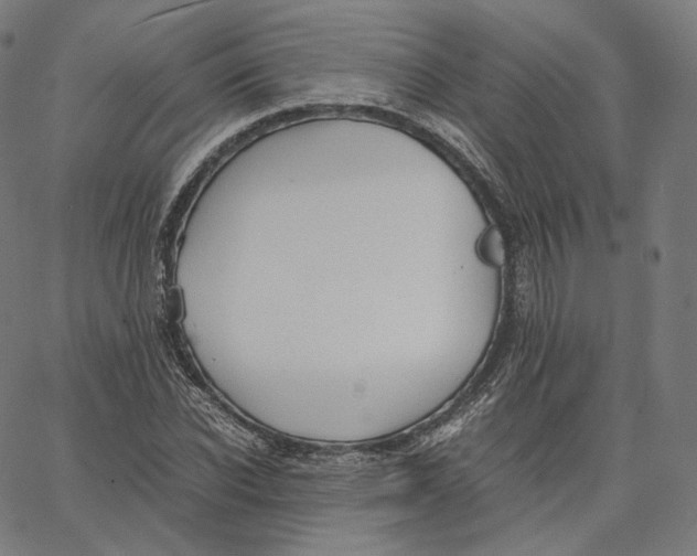 X0000062620926200601181651